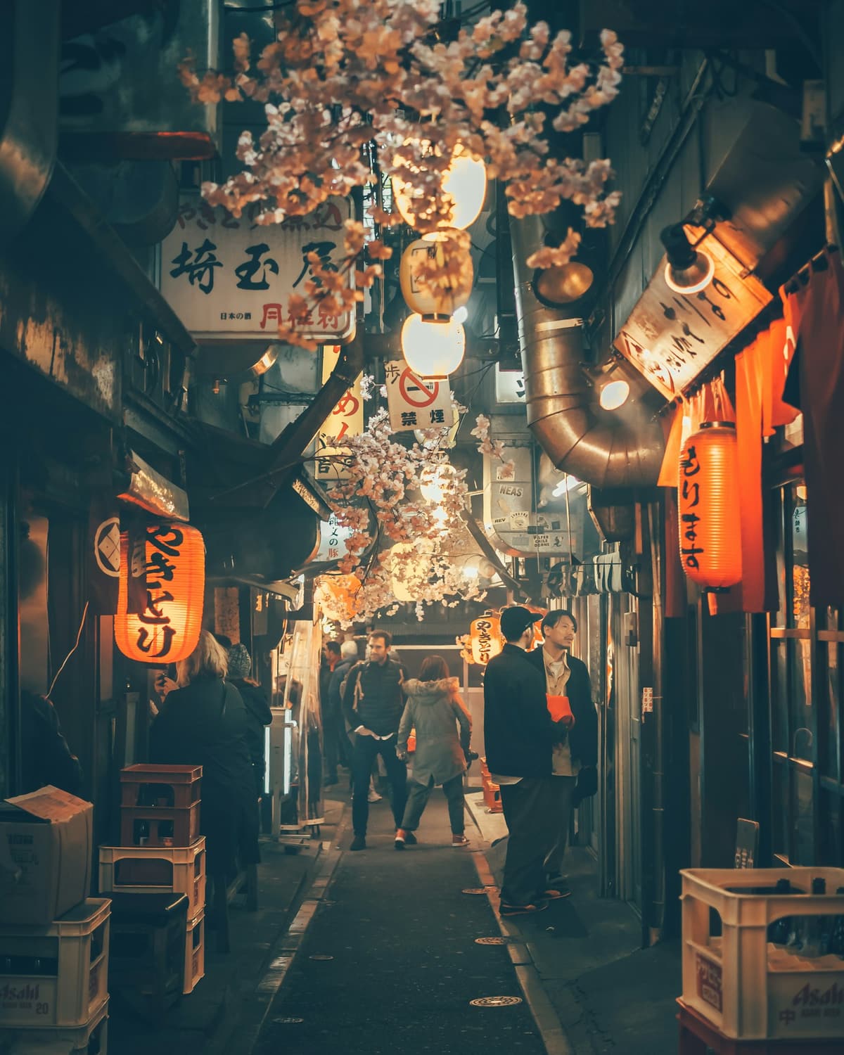 A narrow yakitori alley hung with red paper lanterns