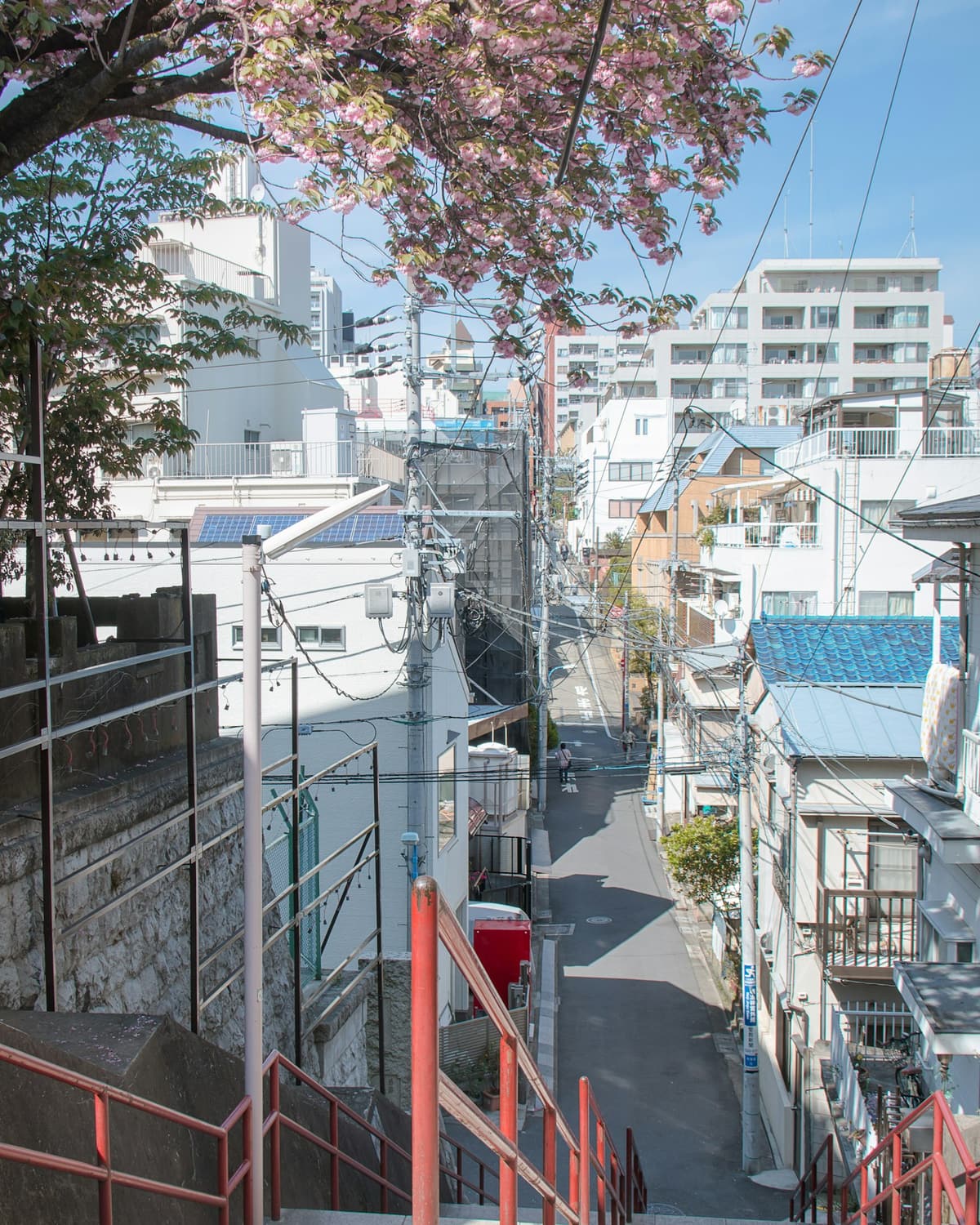 A quiet residential backstreet of low houses and overhead cables