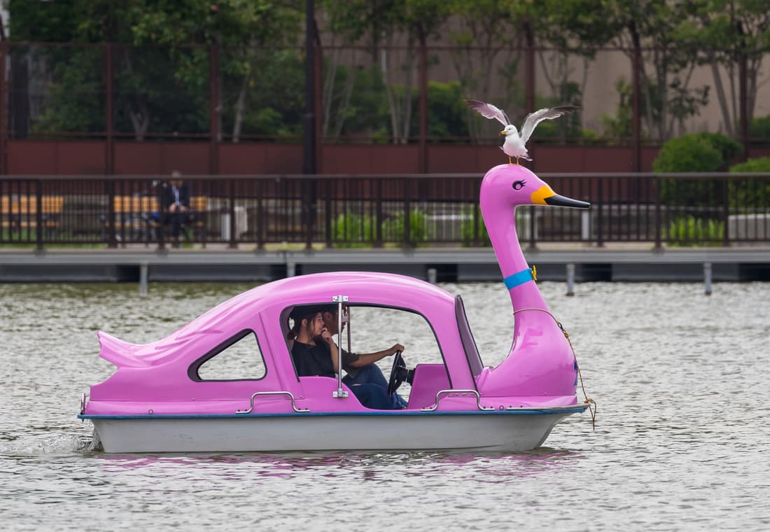Pink swanboat hosting a real bird on its head, on Shinobazu Pond, Ueno Park, Tokyo
